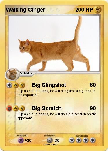 Pokemon Walking Ginger