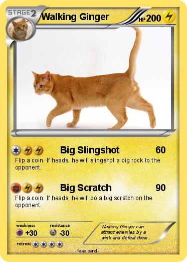 Pokemon Walking Ginger