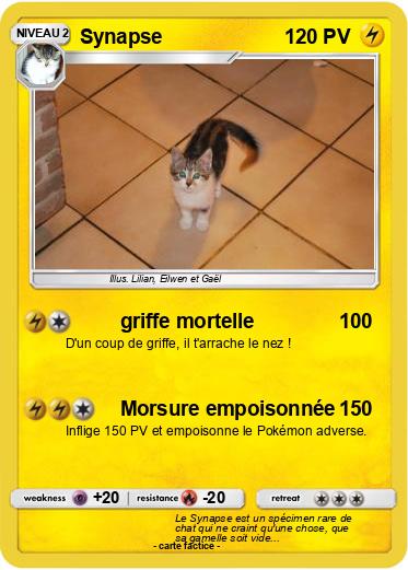 Pokemon Synapse