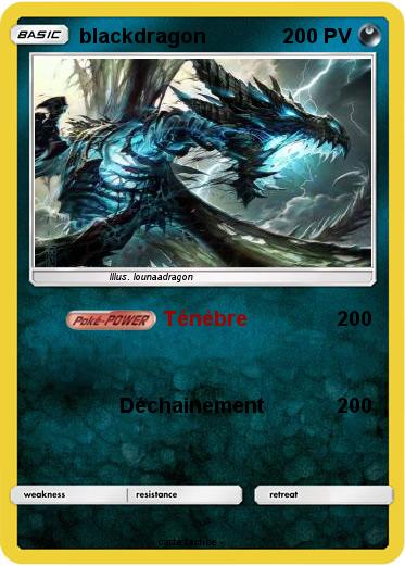 Pokemon blackdragon