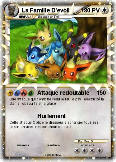 Pokemon La Famille D'evoli
