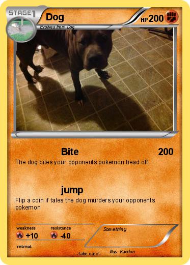 Pokemon Dog