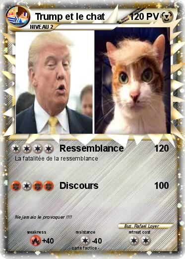 Pokemon Trump et le chat