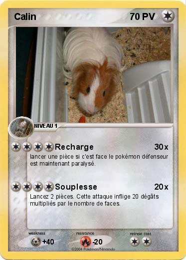 Pokemon Calin