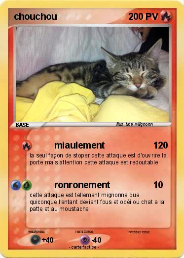 Pokemon chouchou