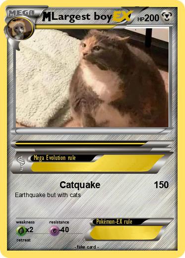 Pokemon Largest boy