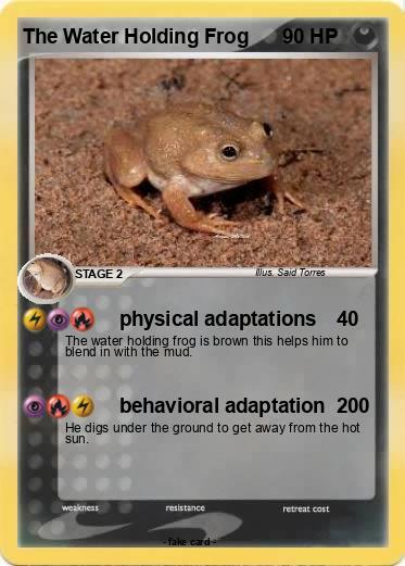 Pokemon The Water Holding Frog