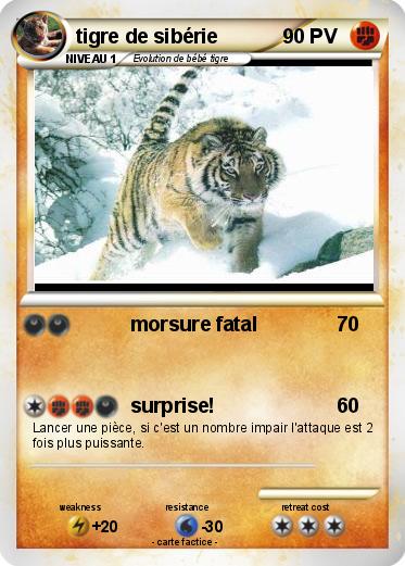 Pokemon tigre de sibérie