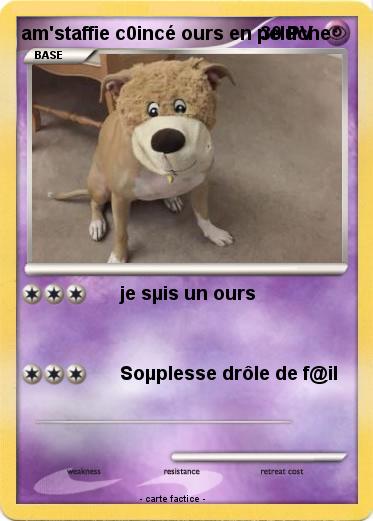 Pokemon am'staffie c0incé ours en peluche