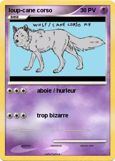 Pokemon loup-cane corso