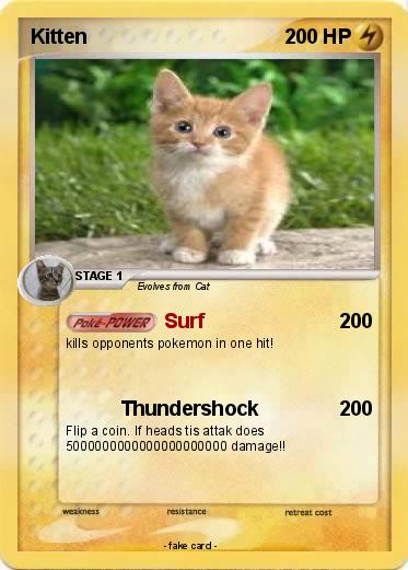 Pokemon Kitten