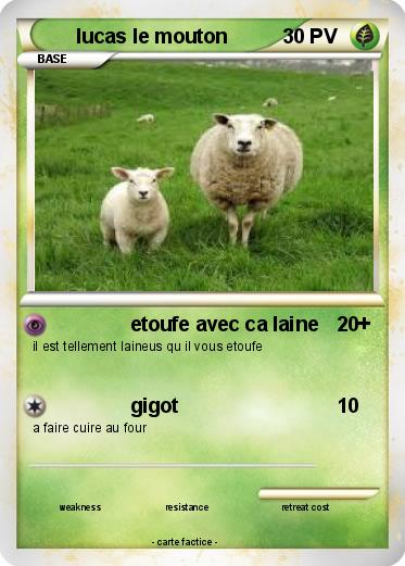 Pokemon lucas le mouton