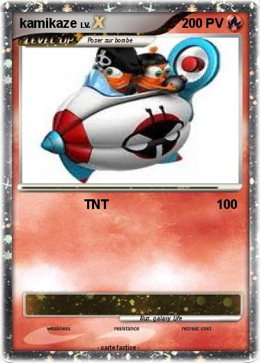 Pokemon kamikaze