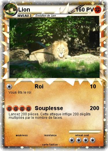 Pokemon Lion
