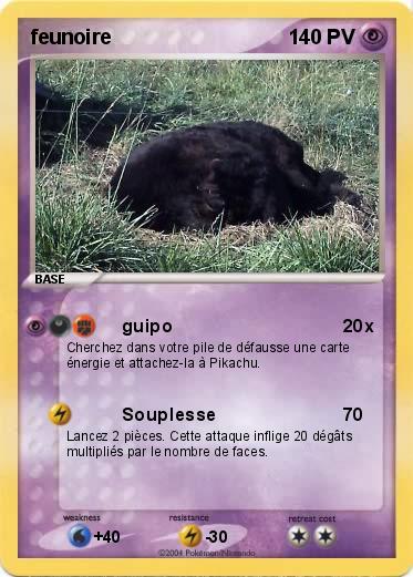 Pokemon feunoire