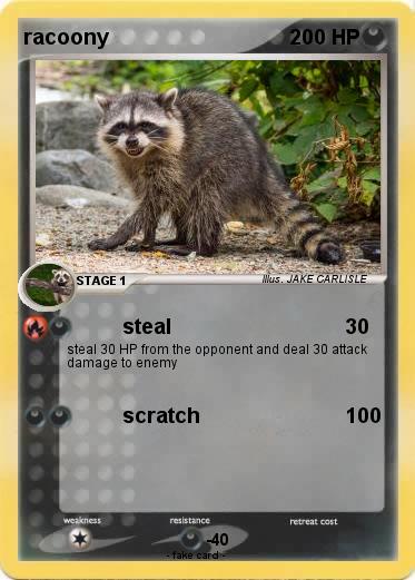 Pokemon racoony