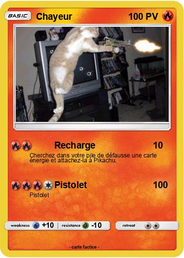 Pokemon Chayeur