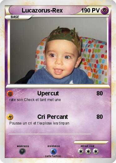 Pokemon Lucazorus-Rex
