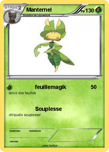 Pokemon Manternel