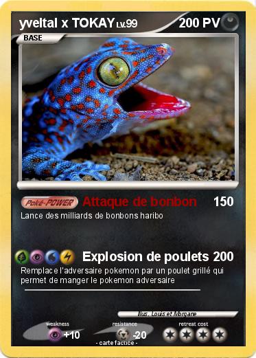 Pokemon yveltal x TOKAY