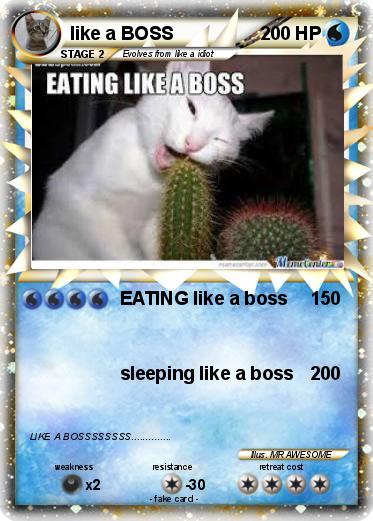 Pokemon like a BOSS