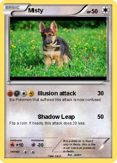 Pokemon Misty