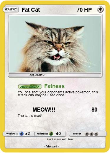Pokemon Fat Cat