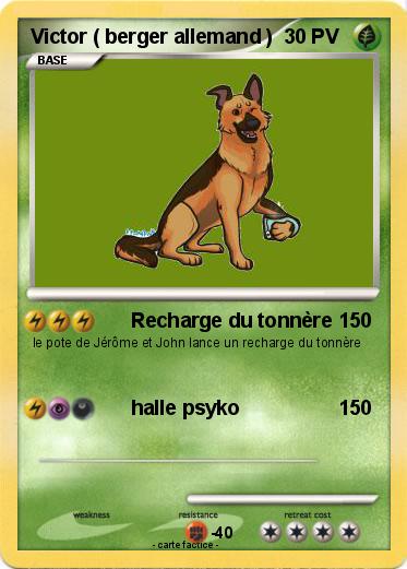 Pokemon Victor ( berger allemand )