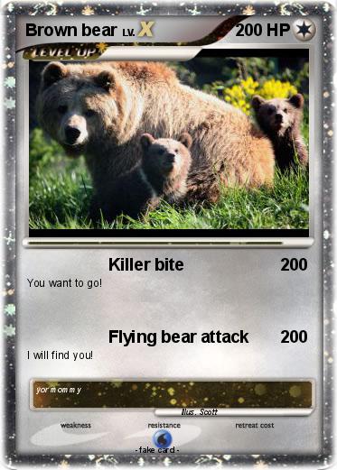 Pokemon Brown bear