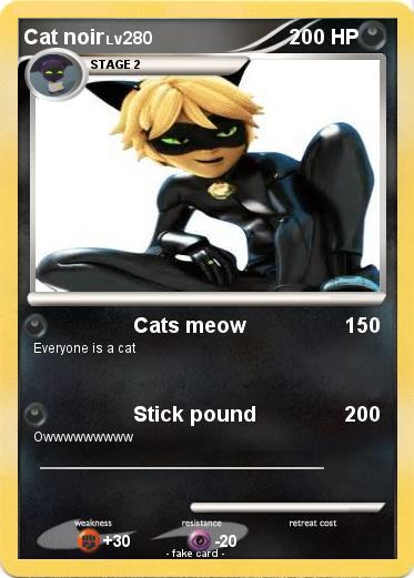 Pokemon Cat noir