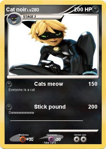 Pokemon Cat noir