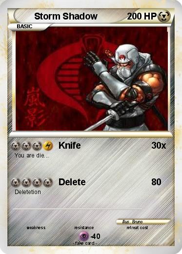 Pokemon Storm Shadow