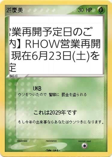Pokemon 游慶美