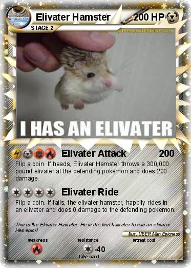 Pokemon Elivater Hamster