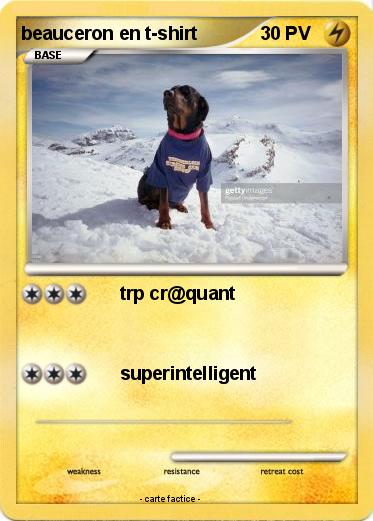 Pokemon beauceron en t-shirt