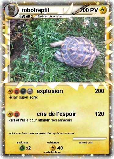 Pokemon robotreptil