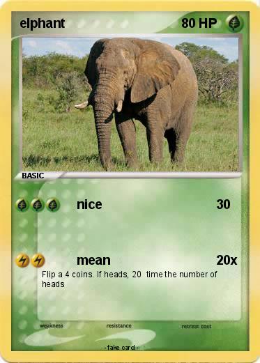 Pokemon elphant