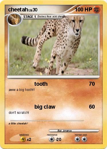 Pokemon cheetah