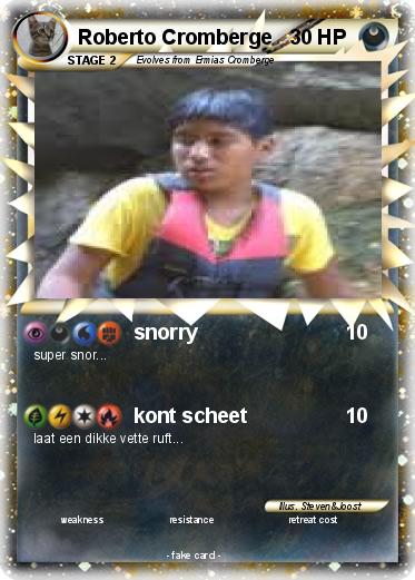 Pokemon Roberto Cromberge