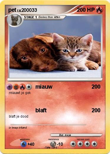 Pokemon pet