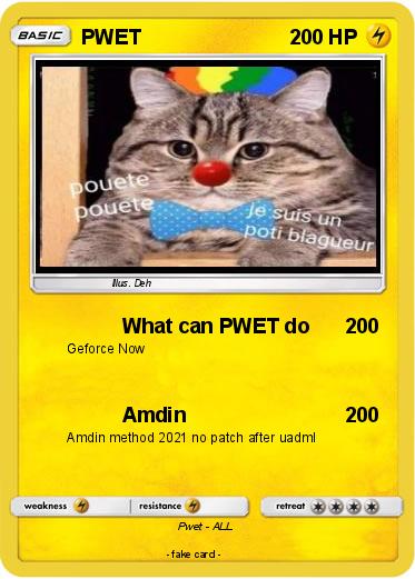 Pokemon PWET
