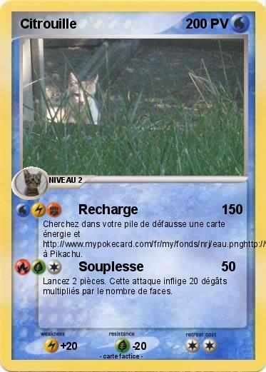 Pokemon Citrouille