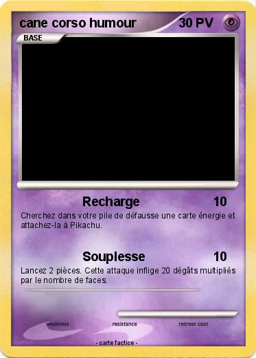 Pokemon cane corso humour