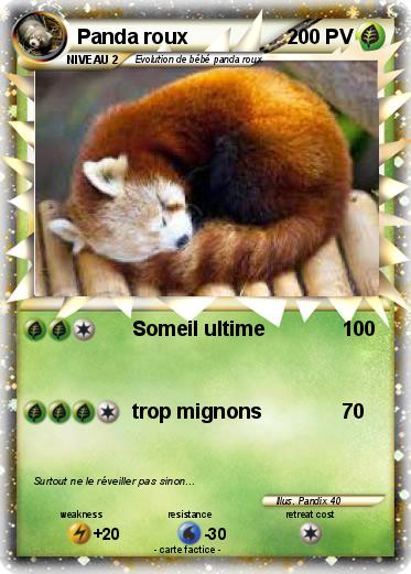 Pokemon Panda roux