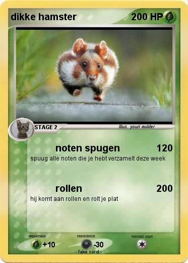 Pokemon dikke hamster