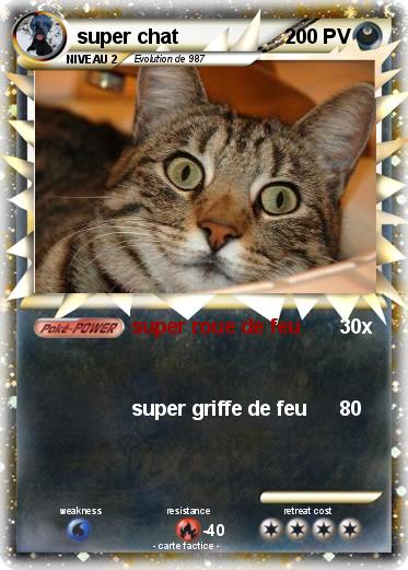 Pokemon super chat