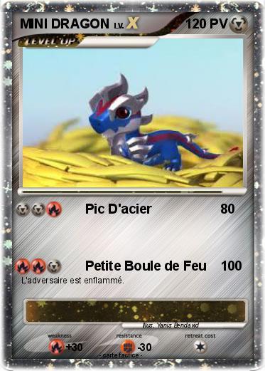 Pokemon MINI DRAGON