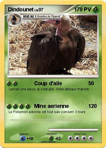 Pokemon Dindounet