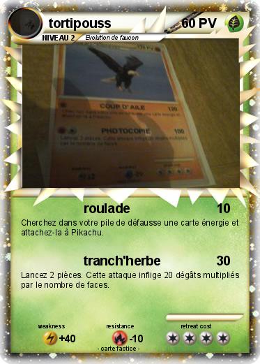 Pokemon tortipouss