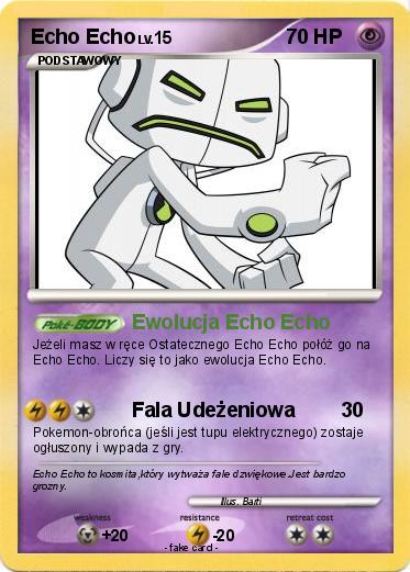 Pokemon Echo Echo